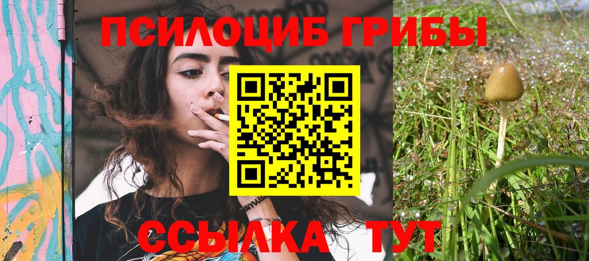 Псилоцибиновые грибы Magic Shrooms Алушта