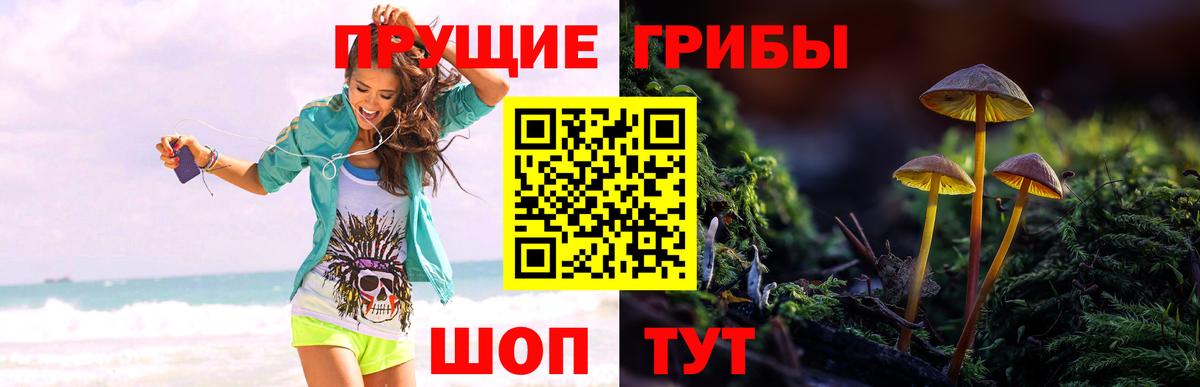 Алушта  Галлюциногенные грибы прущие грибы  Вход с VPN 